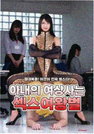 魔法世界时间线剧集